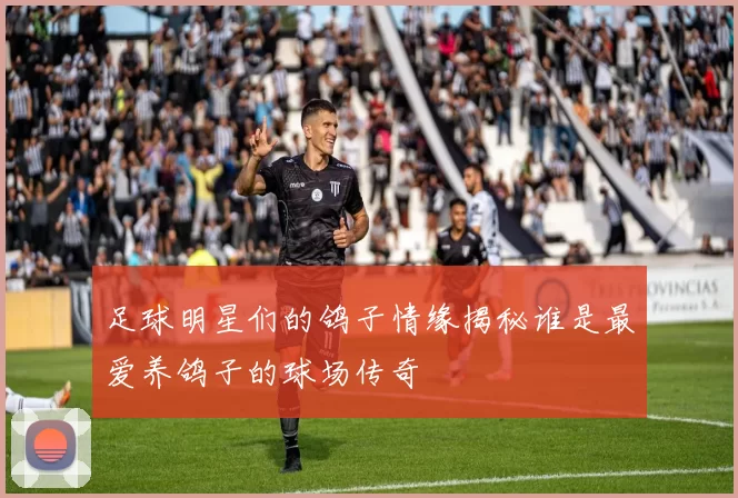 足球明星们的鸽子情缘揭秘谁是最爱养鸽子的球场传奇