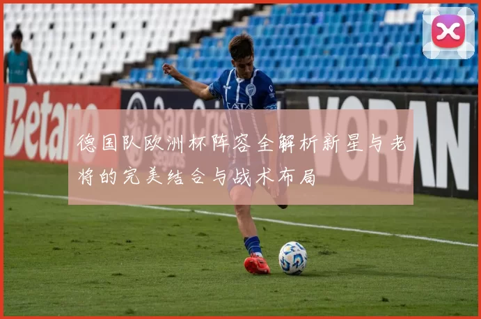 德国队欧洲杯阵容全解析新星与老将的完美结合与战术布局